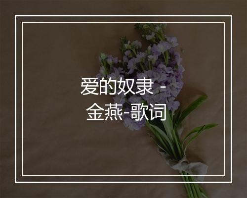 爱的奴隶 - 金燕-歌词