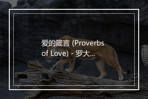 爱的箴言 (Proverbs of Love) - 罗大佑-歌词