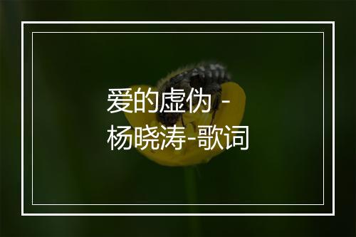 爱的虚伪 - 杨晓涛-歌词