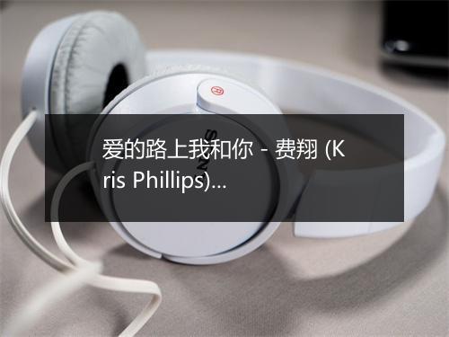 爱的路上我和你 - 费翔 (Kris Phillips)-歌词