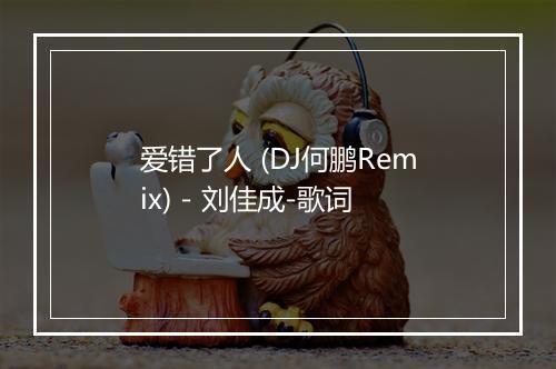 爱错了人 (DJ何鹏Remix) - 刘佳成-歌词