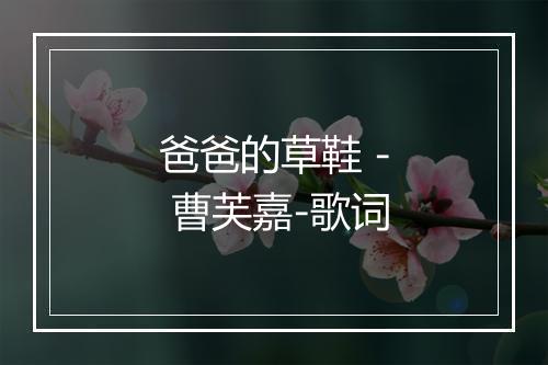 爸爸的草鞋 - 曹芙嘉-歌词