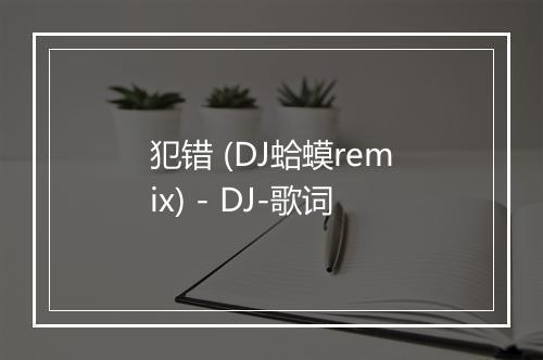 犯错 (DJ蛤蟆remix) - DJ-歌词