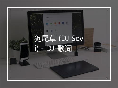 狗尾草 (DJ Sevi) - DJ-歌词