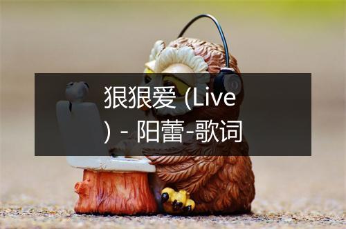 狠狠爱 (Live) - 阳蕾-歌词