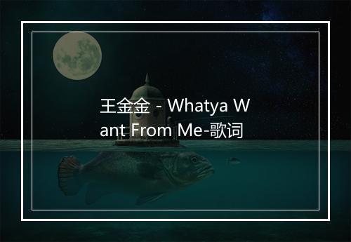 王金金 - Whatya Want From Me-歌词