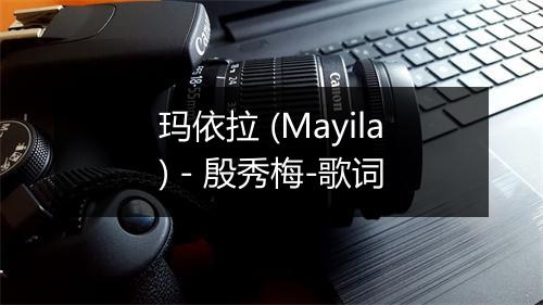 玛依拉 (Mayila) - 殷秀梅-歌词