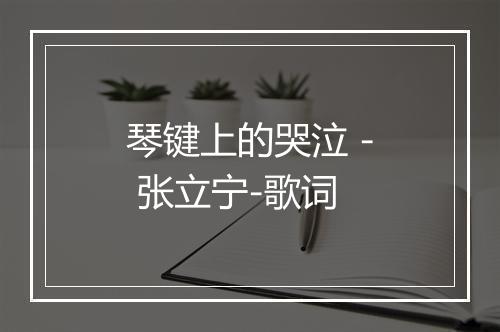 琴键上的哭泣 - 张立宁-歌词