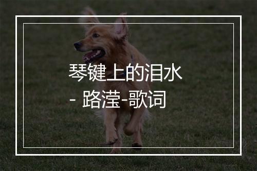 琴键上的泪水 - 路滢-歌词