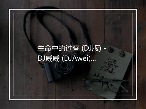 生命中的过客 (DJ版) - DJ威威 (DJAwei)-歌词