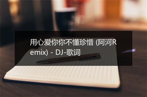 用心爱你你不懂珍惜 (阿河Remix) - DJ-歌词