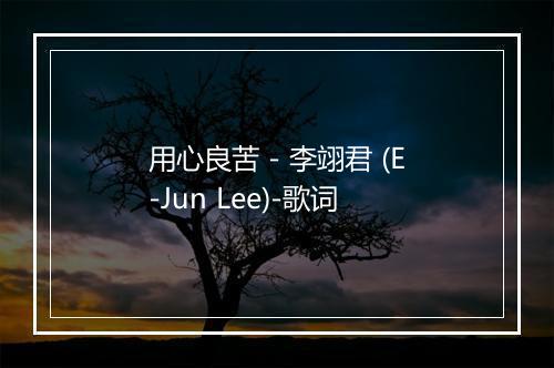 用心良苦 - 李翊君 (E-Jun Lee)-歌词