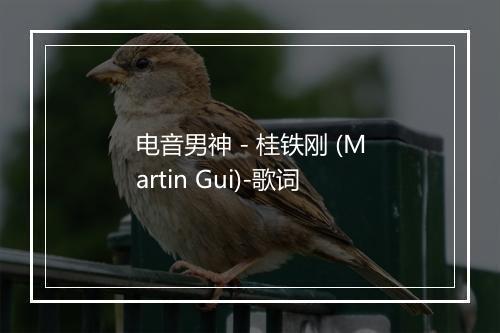 电音男神 - 桂铁刚 (Martin Gui)-歌词