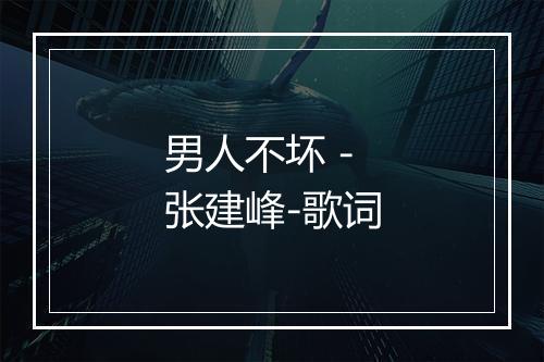 男人不坏 - 张建峰-歌词