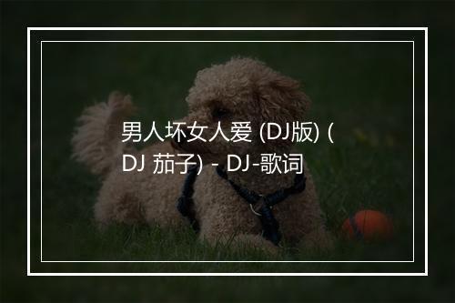 男人坏女人爱 (DJ版) (DJ 茄子) - DJ-歌词