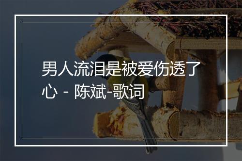 男人流泪是被爱伤透了心 - 陈斌-歌词