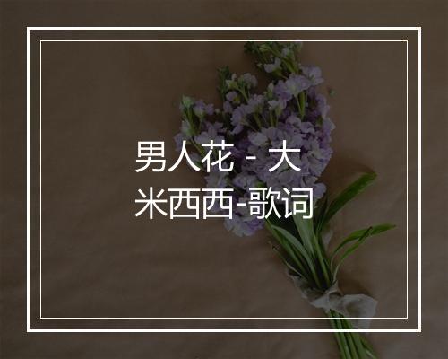 男人花 - 大米西西-歌词