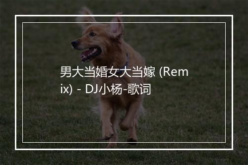 男大当婚女大当嫁 (Remix) - DJ小杨-歌词