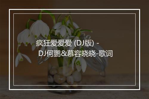 疯狂爱爱爱 (DJ版) - DJ何鹏&慕容晓晓-歌词