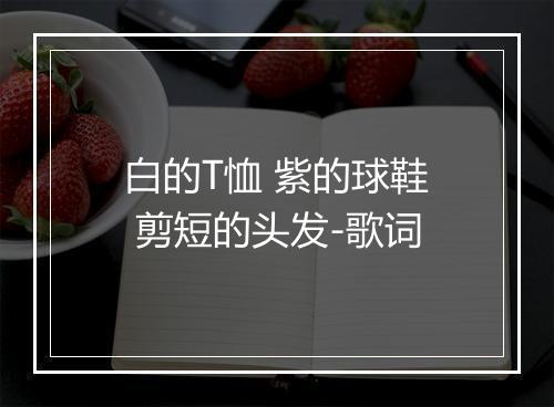 白的T恤 紫的球鞋 剪短的头发-歌词