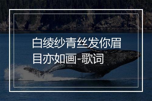 白绫纱青丝发你眉目亦如画-歌词