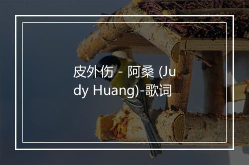 皮外伤 - 阿桑 (Judy Huang)-歌词