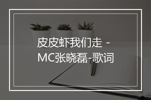 皮皮虾我们走 - MC张晓磊-歌词