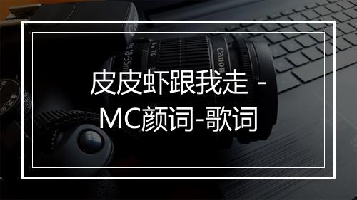 皮皮虾跟我走 - MC颜词-歌词