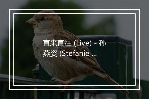 直来直往 (Live) - 孙燕姿 (Stefanie Sun)-歌词