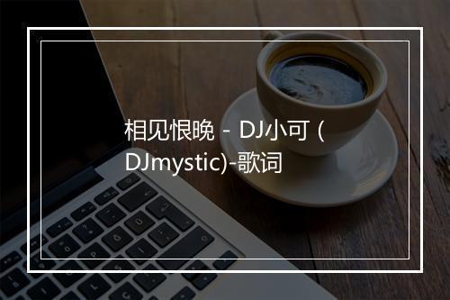 相见恨晚 - DJ小可 (DJmystic)-歌词