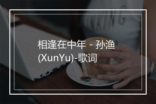 相逢在中年 - 孙渔 (XunYu)-歌词