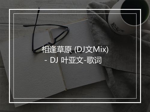 相逢草原 (DJ文Mix) - DJ 叶亚文-歌词