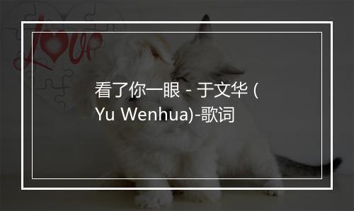 看了你一眼 - 于文华 (Yu Wenhua)-歌词