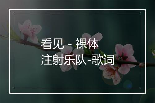 看见 - 裸体注射乐队-歌词