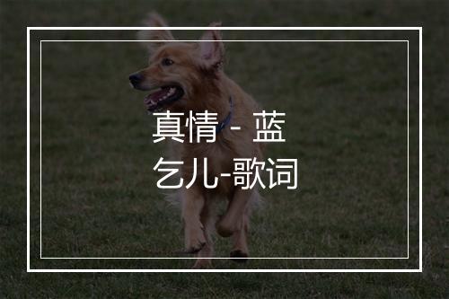 真情 - 蓝乞儿-歌词