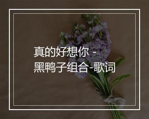 真的好想你 - 黑鸭子组合-歌词