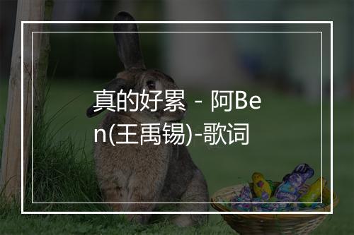 真的好累 - 阿Ben(王禹锡)-歌词