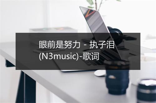 眼前是努力 - 执子泪 (N3music)-歌词