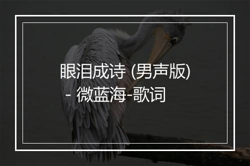 眼泪成诗 (男声版) - 微蓝海-歌词