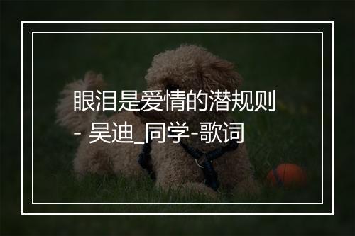 眼泪是爱情的潜规则 - 吴迪_同学-歌词