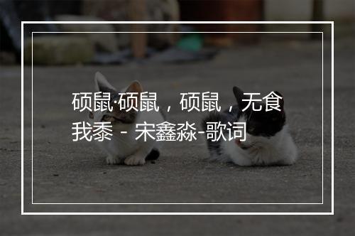 硕鼠·硕鼠，硕鼠，无食我黍 - 宋鑫淼-歌词