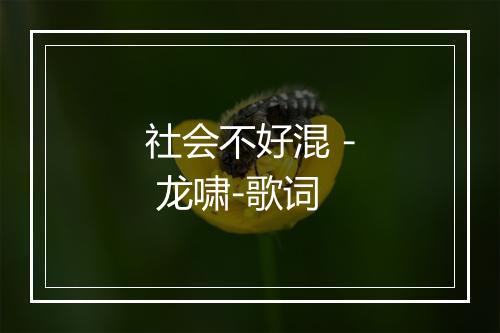 社会不好混 - 龙啸-歌词