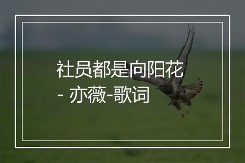 社员都是向阳花 - 亦薇-歌词