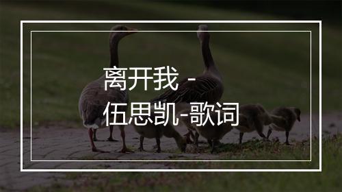 离开我 - 伍思凯-歌词