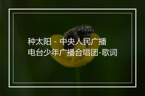 种太阳 - 中央人民广播电台少年广播合唱团-歌词