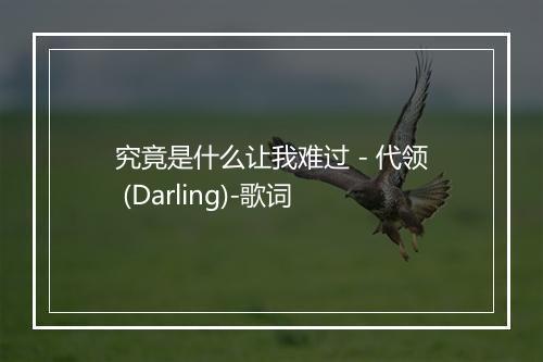 究竟是什么让我难过 - 代领 (Darling)-歌词