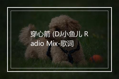 穿心箭 (DJ小鱼儿 Radio Mix-歌词