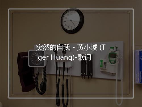 突然的自我 - 黄小琥 (Tiger Huang)-歌词