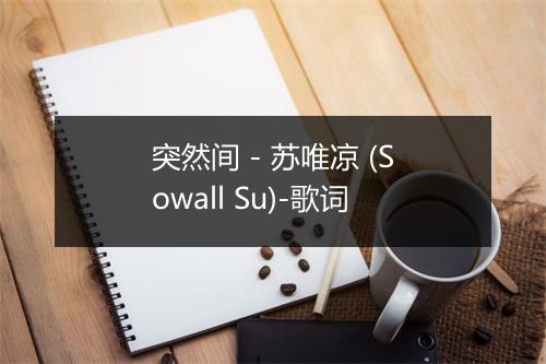 突然间 - 苏唯凉 (Sowall Su)-歌词