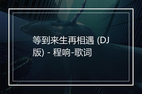 等到来生再相遇 (DJ版) - 程响-歌词